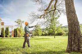 Trusted Weldon, NC  Tree Services Experts